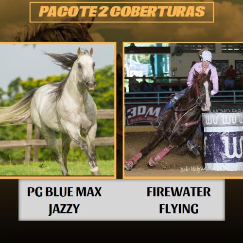 PG BLUE MAX JAZZY + FIREWATER FLYING (2 Coberturas)