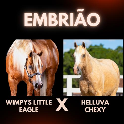 WIMPYS LITTLE EAGLE X HELLUVA CHEXY (Embrião efetivado)