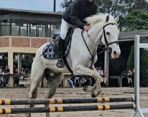 EROS DO RC