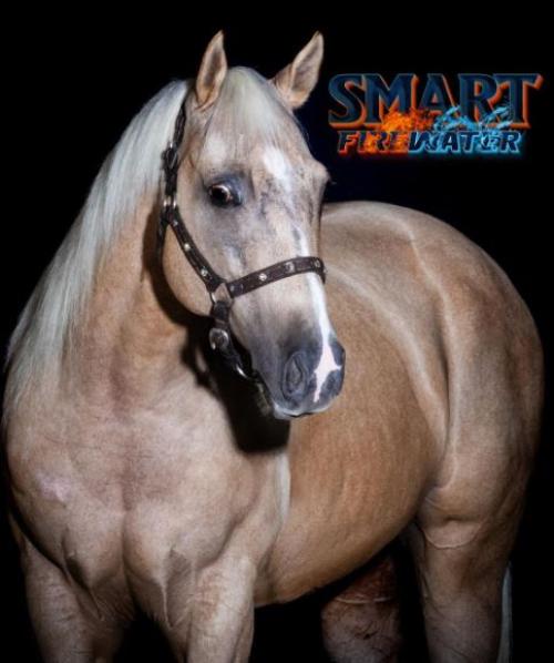 SMART FIREWATER MVL
