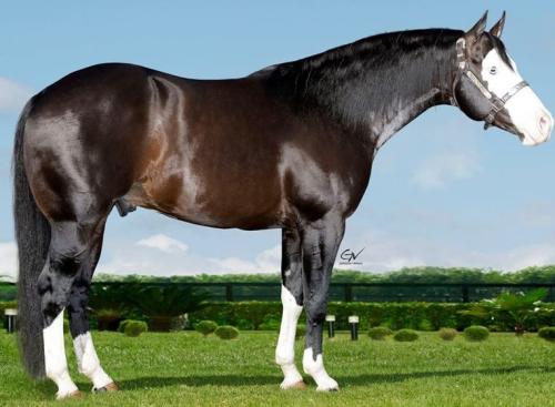 CHEX FROM A STAR (1 Cobertura)