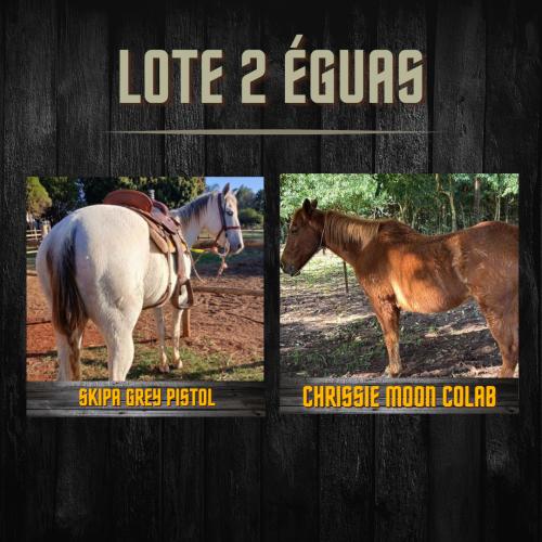 LOTE DE 2 ÉGUAS PO