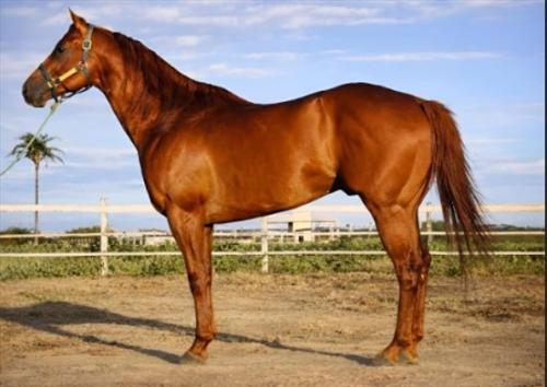 CARTEL ENERGY (1 Cobertura)