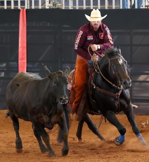 FUTURITY STAR (1 Cobertura)