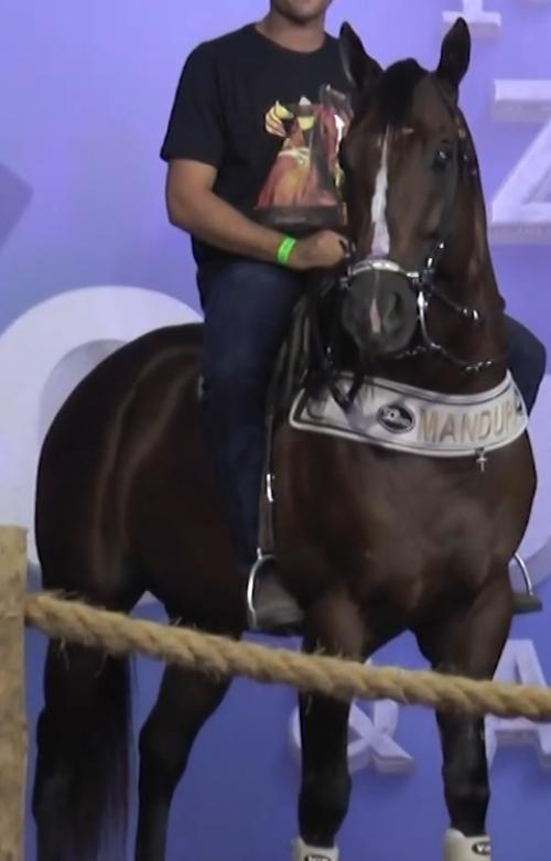 DON FIT LM (S. Congelado)