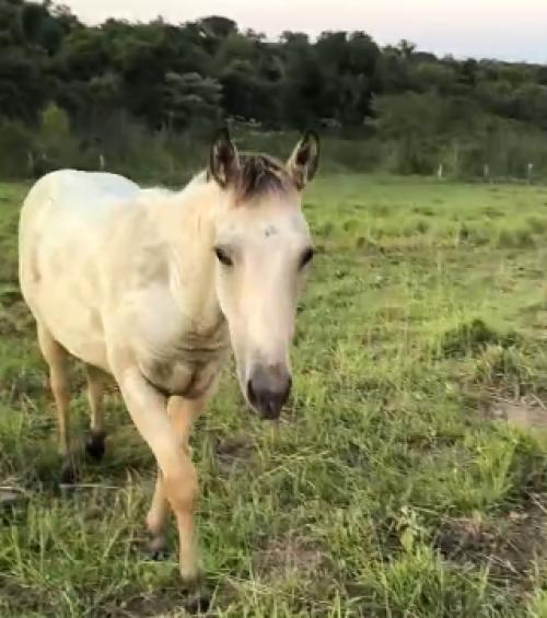 MR FRITZ WOOD X BET HOLLY WOOD MIL