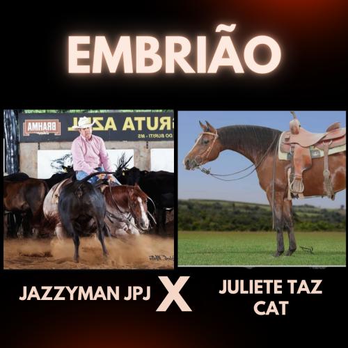 JAZZYMAN JPJ X JULIETE TAZ CAT (Embrião efetivado)