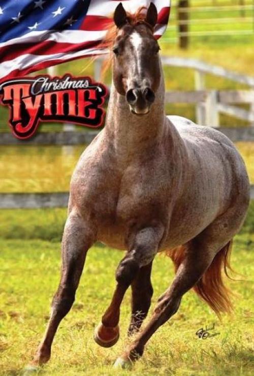 CHRISTMAS TYME (1 Cobertura)