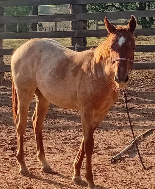 KEN ON ME X HIGHT SURPRISE