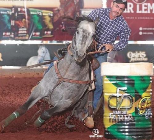 STREAK OF DOLLAR OFV (1 Cobertura)