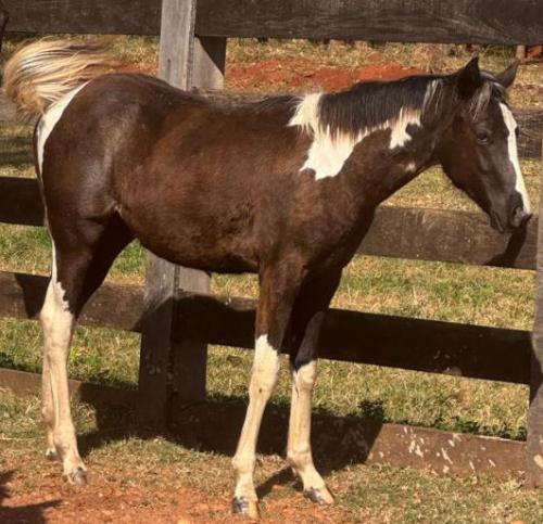 TIANA DELTA BROTHER LAKE