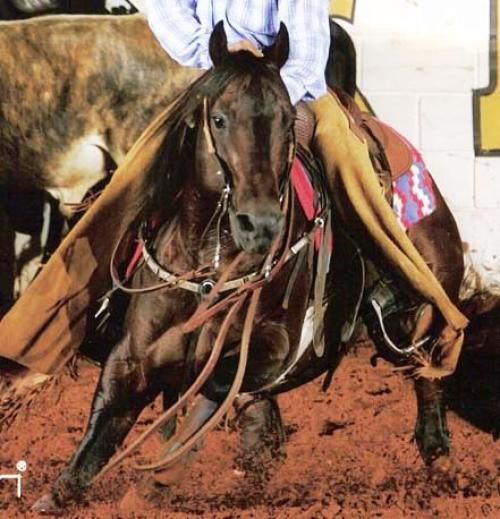 TILLY PLAYBOY (S. Congelado)