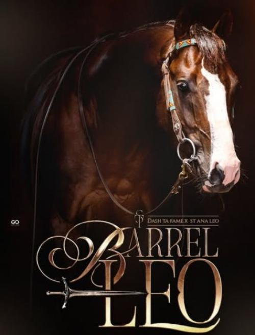 ST BARREL LEO (1 COBERTURA)