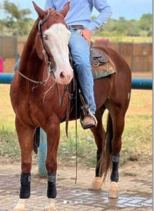 BLACK GOTTA JACK RHR