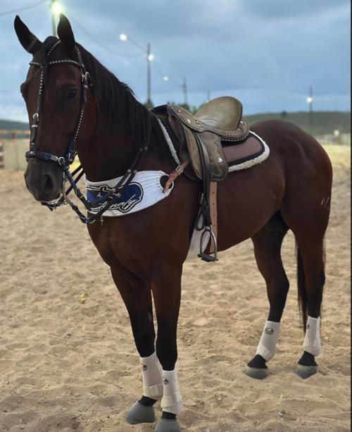 MORENO ETERNALY (1 Cobertura)