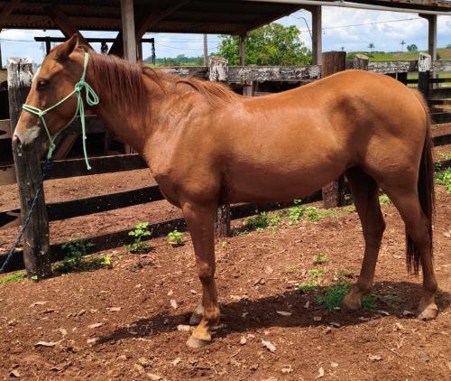 RAVENA JAYBEE BARLEO