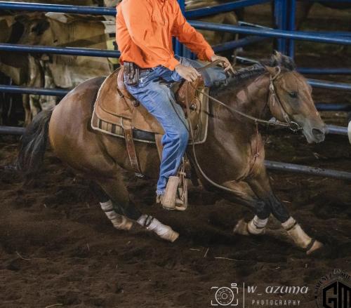 PATRON POPNIX (4 Coberturas)